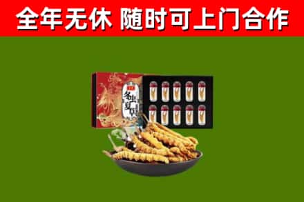 泉州市回收冬虫夏草价格